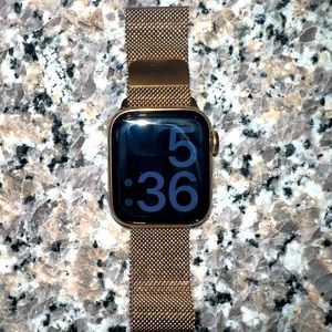 Gold Apple Watch Series 5 stainless steel